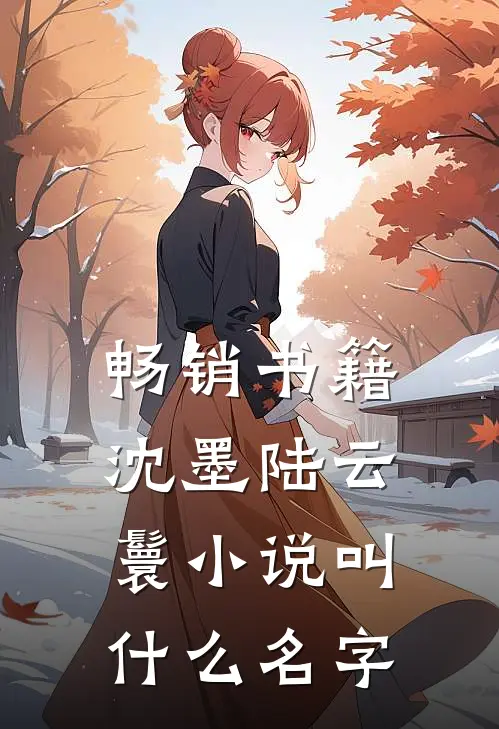 畅销书籍沈墨陆云鬟小说叫什么名字