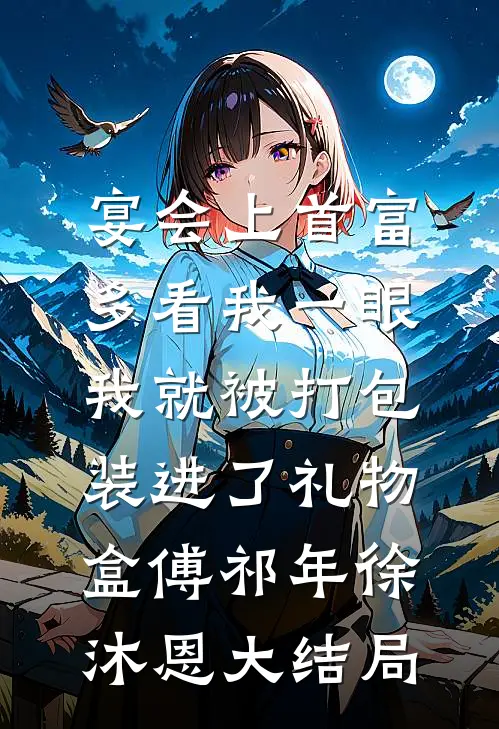 宴会上首富多看我一眼，我就被打包装进了礼物盒傅祁年徐沐恩大结局