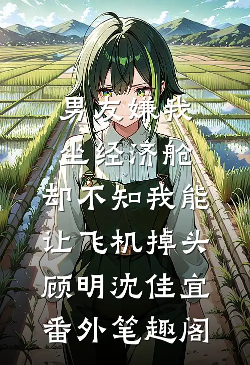 男友嫌我坐经济舱，却不知我能让飞机掉头：顾明沈佳宜番外笔趣阁