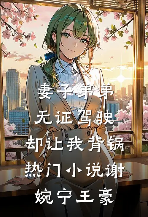 妻子弟弟无证驾驶，却让我背锅热门小说谢婉宁王豪