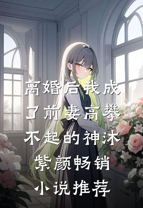 离婚后我成了前妻高攀不起的神沐紫颜畅销小说推荐