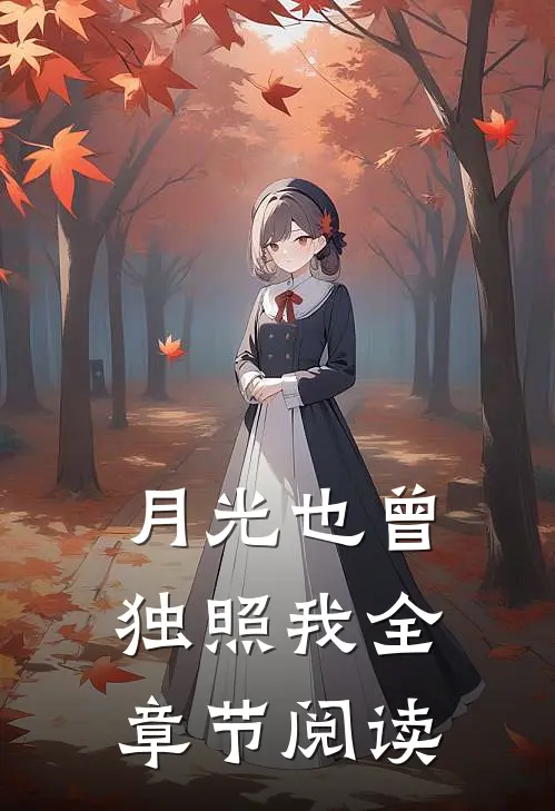 月光也曾独照我全章节阅读