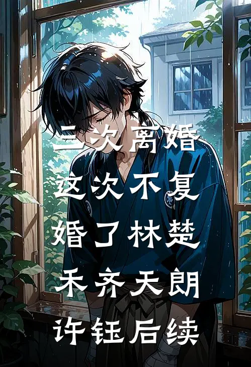 三次离婚，这次不复婚了林楚禾齐天朗许钰后续