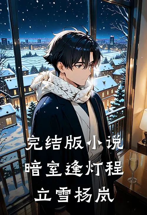 完结版小说暗室逢灯程立雪杨岚