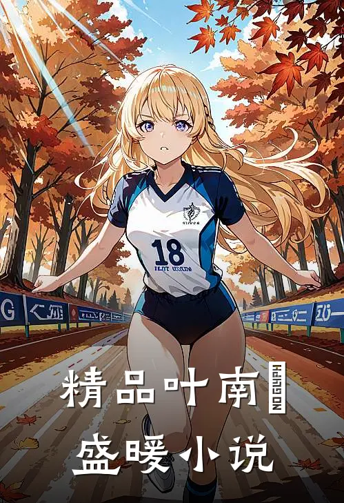 精品叶南烆盛暖小说