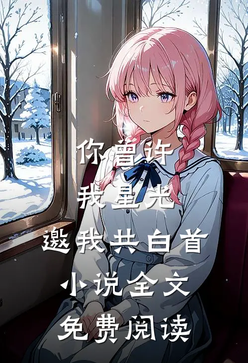 你曾许我星光，邀我共白首小说全文免费阅读