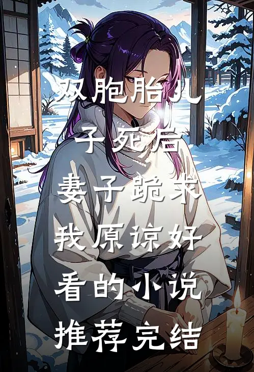 双胞胎儿子死后，妻子跪求我原谅好看的小说推荐完结