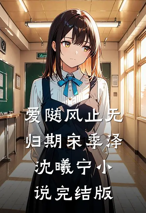 爱随风止无归期宋季泽沈曦宁小说完结版