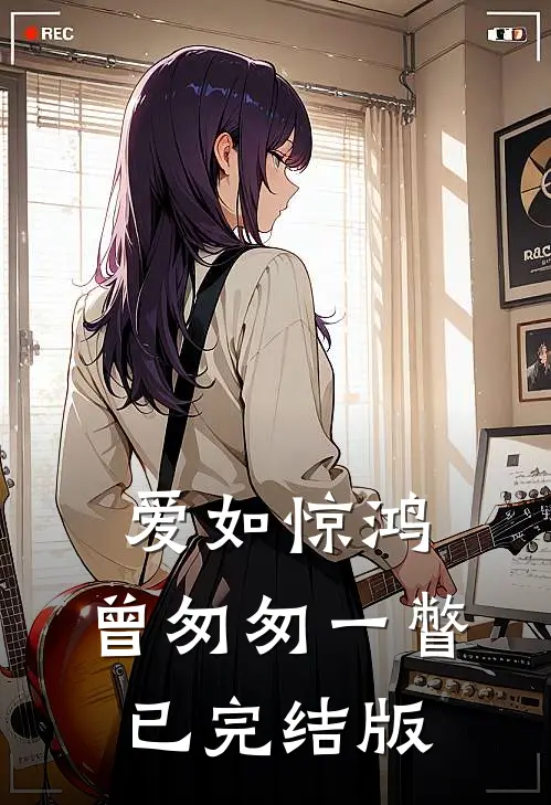 爱如惊鸿，曾匆匆一瞥已完结版