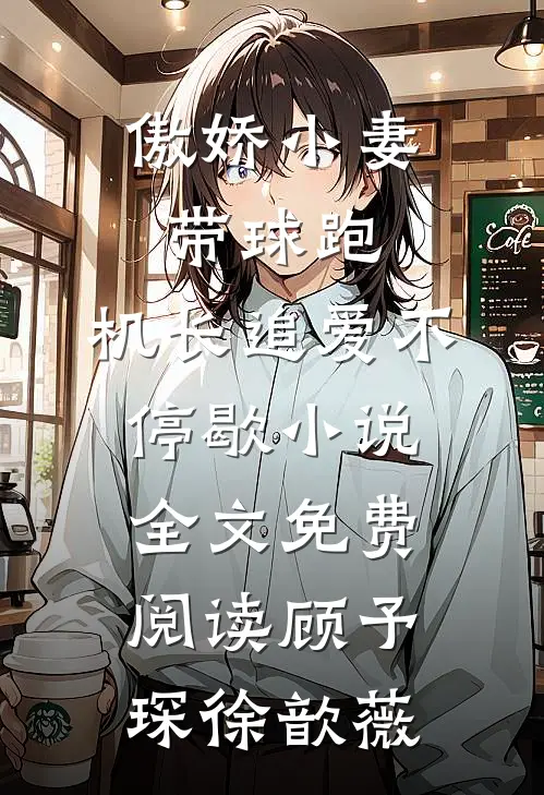 傲娇小妻带球跑，机长追爱不停歇小说全文免费阅读顾予琛徐歆薇