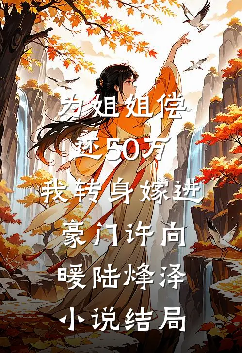 为姐姐偿还50万，我转身嫁进豪门许向暖陆烽泽小说结局