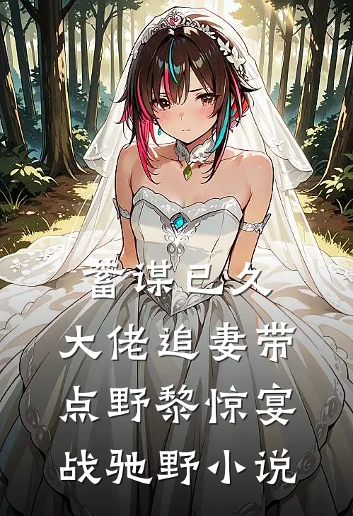 蓄谋已久：大佬追妻带点野黎惊宴战驰野小说