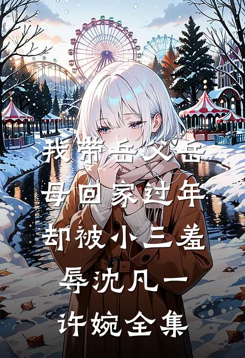 我带岳父岳母回家过年，却被小三羞辱沈凡一许婉 全集