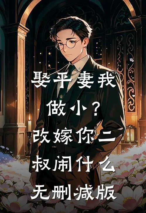 娶平妻我做小？改嫁你二叔闹什么无删减版