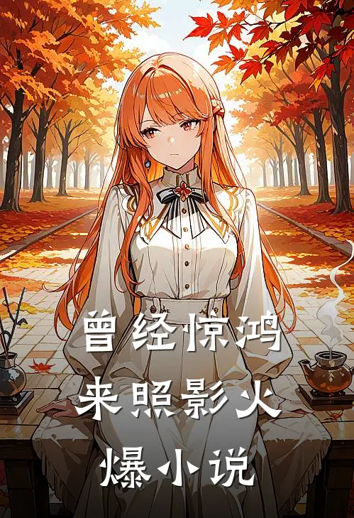 曾经惊鸿来照影火爆小说