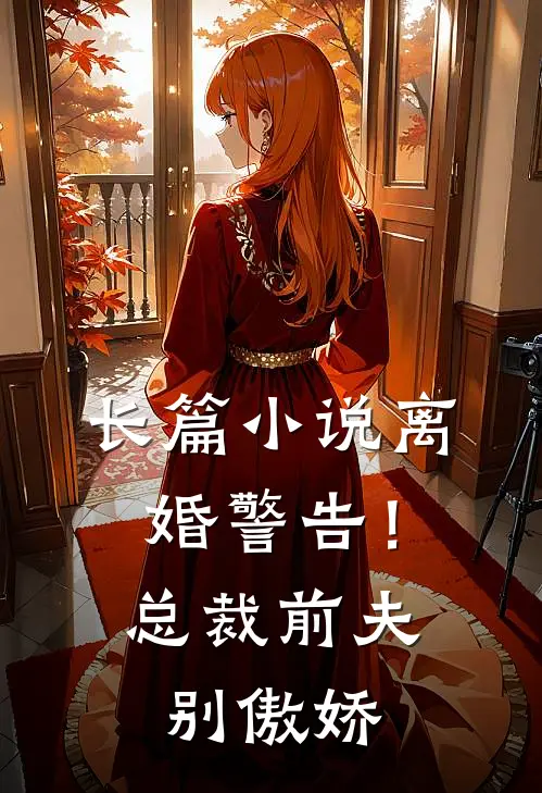 长篇小说离婚警告！总裁前夫别傲娇
