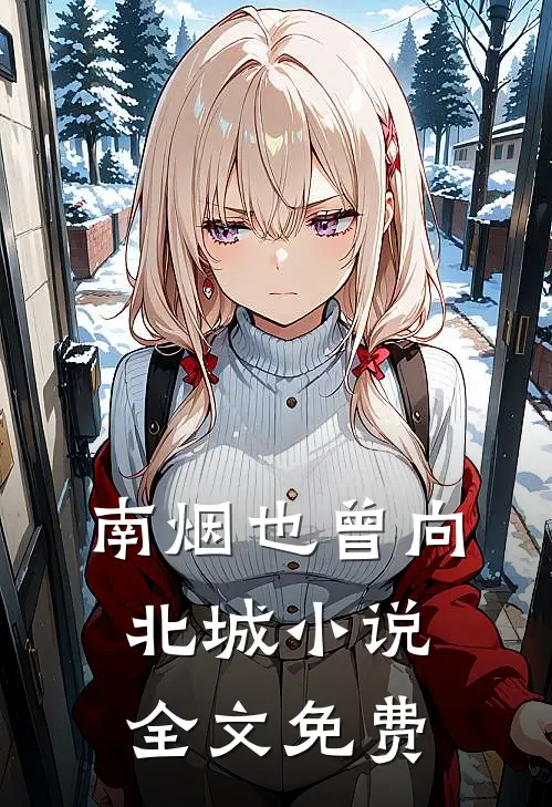 南烟也曾向北城小说全文免费