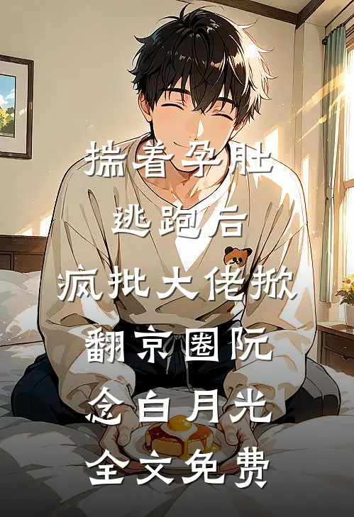 揣着孕肚逃跑后，疯批大佬掀翻京圈阮念白月光全文免费