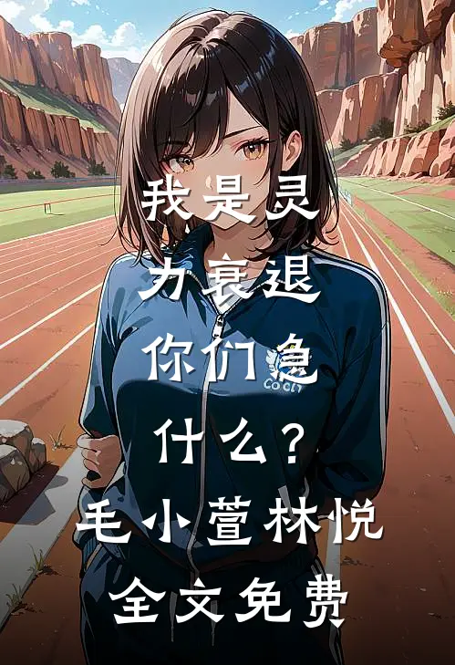 我是灵力衰退，你们急什么？毛小萱林悦全文免费