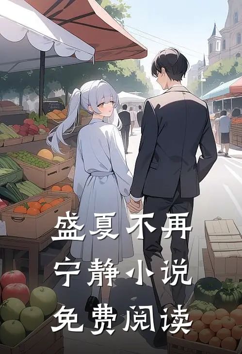 盛夏不再宁静小说免费阅读