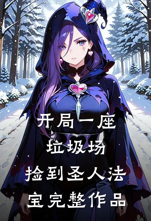 开局一座垃圾场，捡到圣人法宝完整作品
