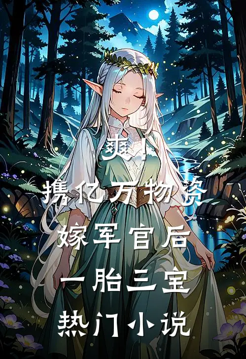 爽！携亿万物资嫁军官后一胎三宝热门小说