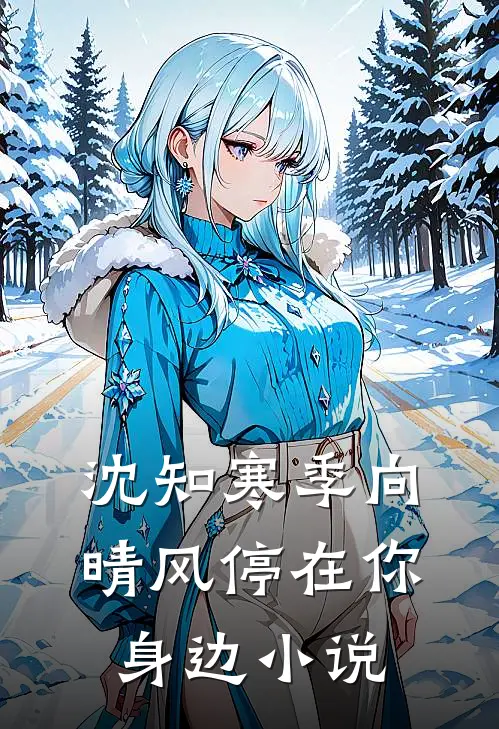 沈知寒季向晴风停在你身边小说