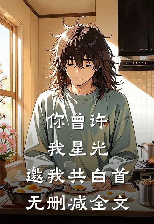 你曾许我星光，邀我共白首无删减全文