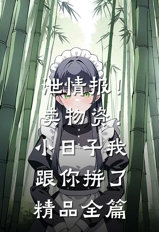 泄情报！卖物资！小日子我跟你拼了精品全篇
