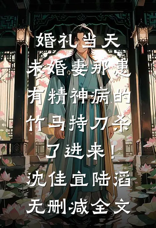 婚礼当天，未婚妻那患有精神病的竹马持刀杀了进来！沈佳宜陆滔无删减全文