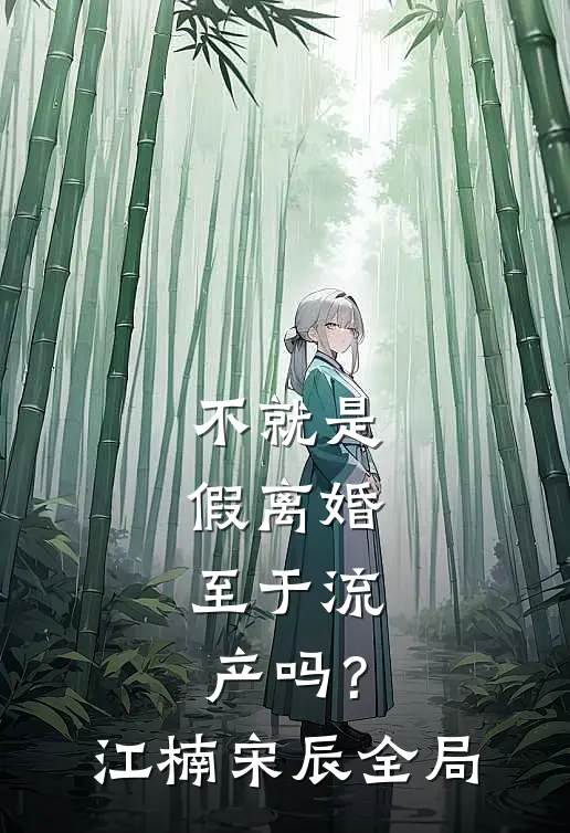 不就是假离婚，至于流产吗？江楠宋辰全局