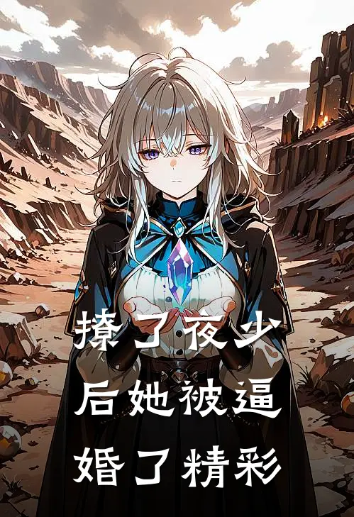 撩了夜少后她被逼婚了精彩