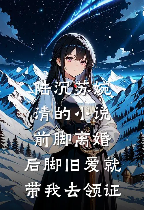 陆沉苏婉清的小说前脚离婚，后脚旧爱就带我去领证