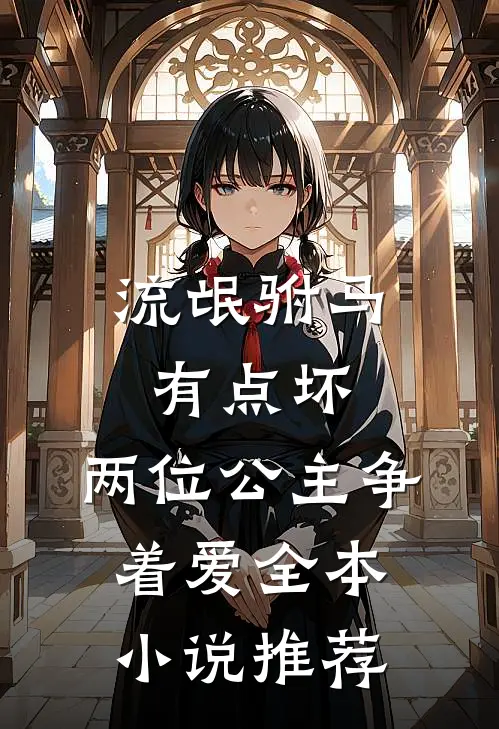 流氓驸马有点坏，两位公主争着爱全本小说推荐