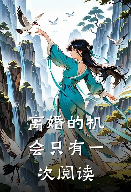 离婚的机会只有一次阅读