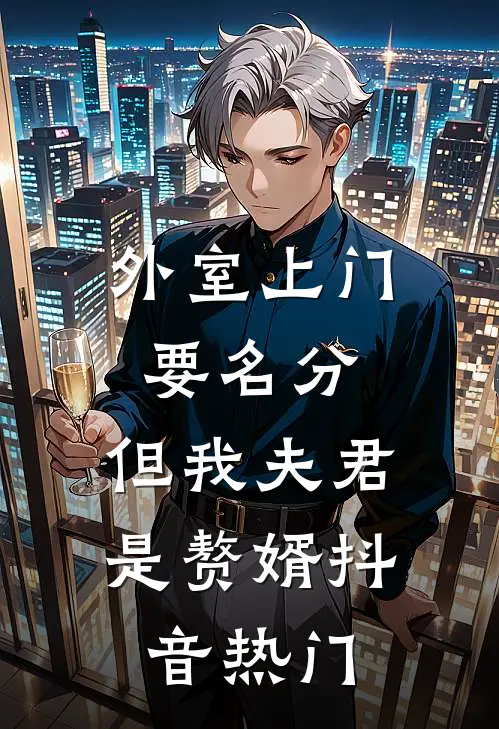 外室上门要名分，但我夫君是赘婿抖音热门