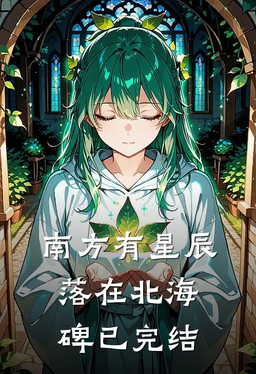 南方有星辰，落在北海碑已完结