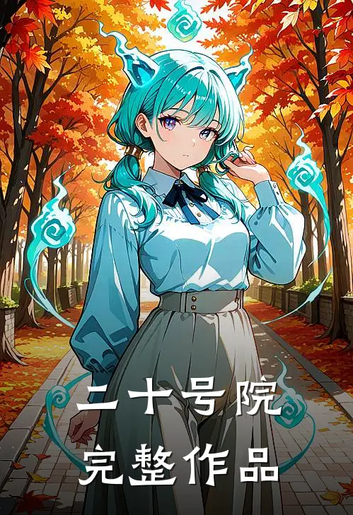 二十号院完整作品