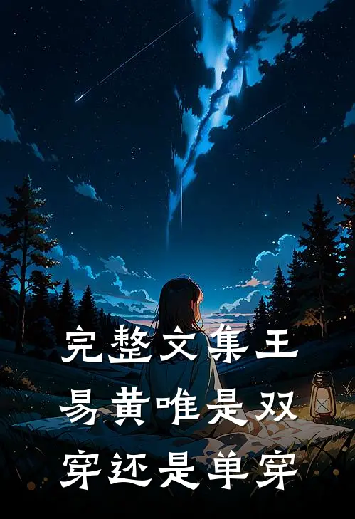 完整文集王易黄唯是双穿还是单穿