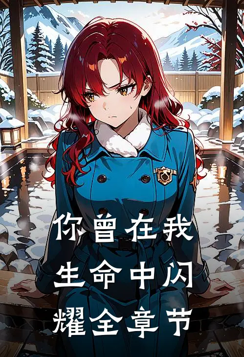 你曾在我生命中闪耀全章节