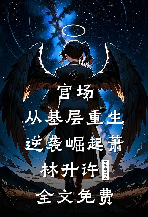 官场：从基层重生逆袭崛起萧林升许喆全文免费