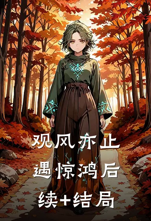 观风亦止遇惊鸿后续+结局