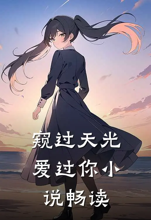 窥过天光爱过你小说畅读
