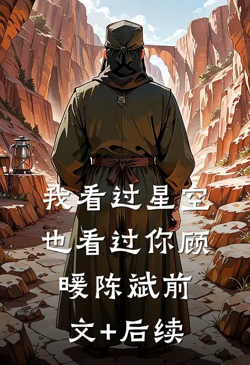 我看过星空，也看过你顾暖陈斌前文+后续