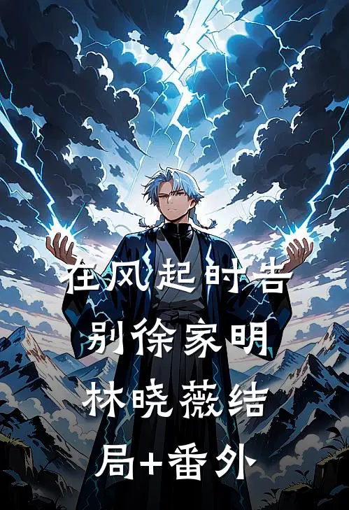 在风起时告别徐家明林晓薇结局+番外