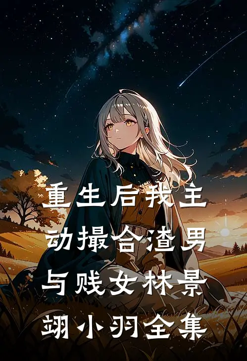 重生后我主动撮合渣男与贱女林景翊小羽 全集