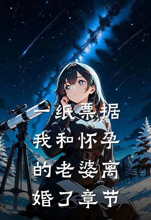 一纸票据，我和怀孕的老婆离婚了章节