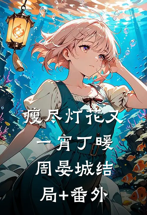 瘦尽灯花又一宵丁暖周晏城结局+番外