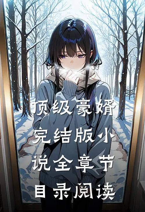 顶级豪婿完结版小说全章节目录阅读