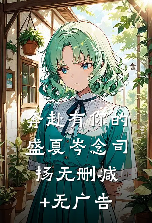 奔赴有你的盛夏岑念司扬无删减+无广告